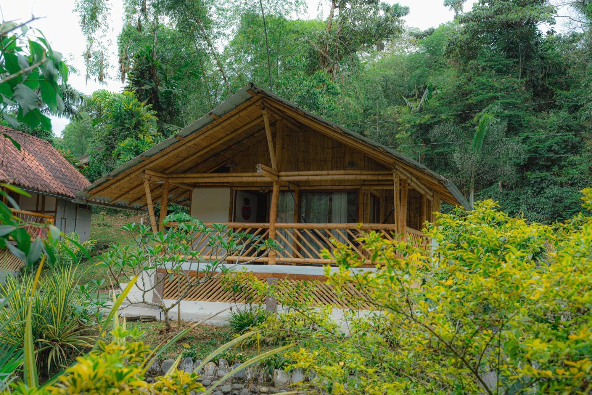 Finca Las Palmas Ecolodge Пуьо Екстериор снимка
