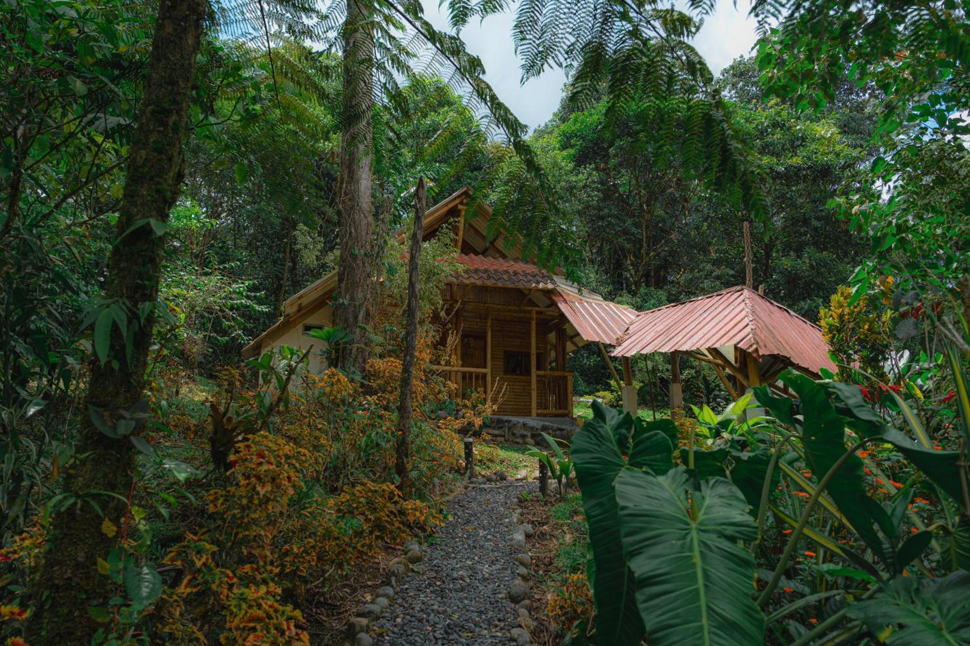 Finca Las Palmas Ecolodge Пуьо Екстериор снимка